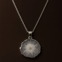 Silver Plated